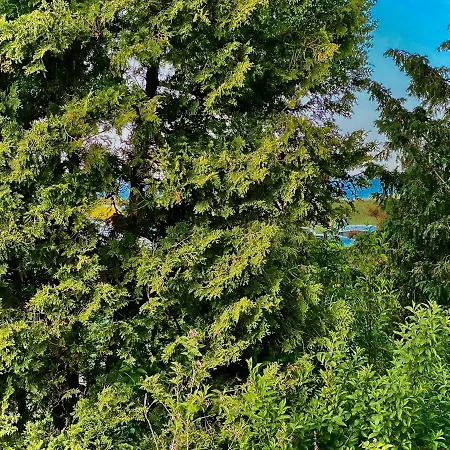 Casa Raphael Direkt Am Scharbeutzer Strand Zewnętrze zdjęcie