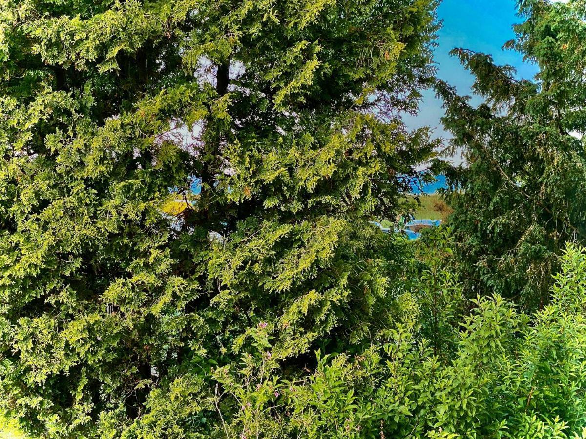 Casa Raphael Direkt Am Scharbeutzer * Scharbeutz